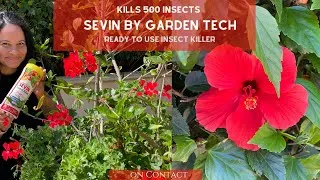 Thumbnail: How to fight Plant Pests in your Garden /Kills 500 Insects