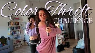 Thumbnail: the color thrift challenge with my sister