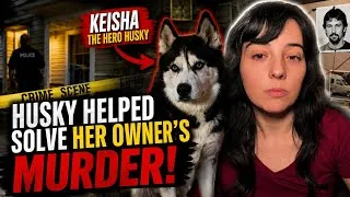 Thumbnail: How a Dog Exposed the Killer | True Crime Stories  