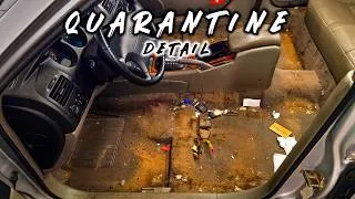 Thumbnail: This Old Car Was Declared UNCLEANABLE - Until Now! True Detailing ASMR