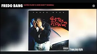 Thumbnail: Fredo Bang - Gates Flow 2 (She Don't Wanna) (truee_key style)