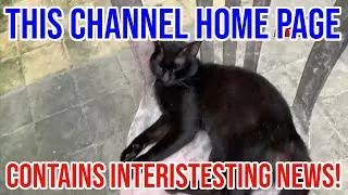 Thumbnail: NEWS: This channel's home page contains interesting news