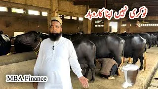 Thumbnail: Simple and Profitable Dairy Farm | How to start Simple Buffalo and Cow Dairy Farming Business