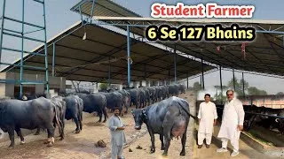 Thumbnail: 6 Bhainson Se 127 Bhainson Ka Dairy Farm | Buffalo Farming Success Story | Dairy Farming Business