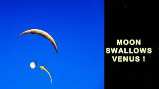 Thumbnail: Watch Venus Disappear Behind the Moon! | Lunar Occultation Explained