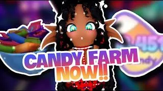 Thumbnail: CANDY FARMING STARTS NOW!!!