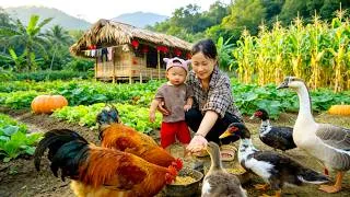 Thumbnail: Living in the Forest, Gardening, Growing Wild Bananas, and Cooking with My Child