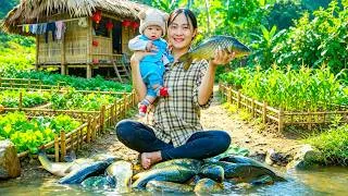 Thumbnail: A Story of Country Life: Catching Giant Wild Fish to Sell at the Market with My Child