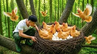 Thumbnail: Harvesting Chickens High in the Mountain Trees — Building a New Chickens Coop | Off-Grid Farm Life