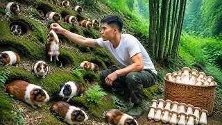 Thumbnail: Harvesting Rare Wild Mushrooms, Guinea Pigs in Holes in the Ground to Sell at Market | Mountain Life