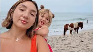 Thumbnail: We Found America’s Island of WILD Horses!