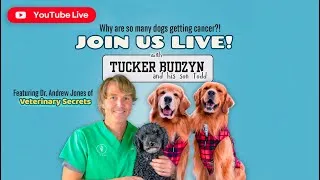 Thumbnail: LIVE: Why Are So Many Dogs Getting Cancer and What Can Be Done About It? | With Dr. Andrew Jones