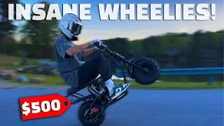 Thumbnail: THIS IS THE BEST BUDGET MINI BIKE! (WHEELIE MONSTER)