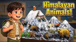 Thumbnail: Meet the Asian Mountain Animals! | Build a Himalayan Diorama