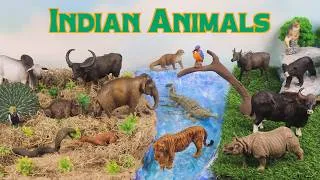 Thumbnail: Meet the Indian Animals | Build a Jungle River Diorama (Real Running River!)