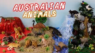 Thumbnail: Meet the Awesome Australian Animals | Build a Diorama of the Outback!