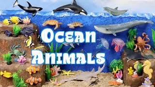 Thumbnail: Meet the Amazing Ocean Animals | Let's Build an Underwater Diorama!