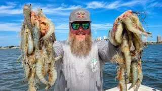 Thumbnail: Catching JUMBO Shrimp in Florida! | Fried Shrimp Spiders!