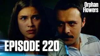 Thumbnail: Kırgın Çiçekler I Orphan Flowers - Episode 220