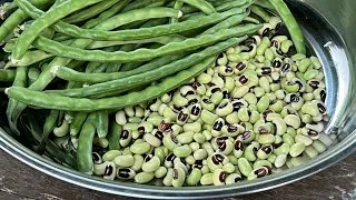 Thumbnail: The Most Refreshing Garlic & Olive Oil Summer Dish You’ve Never Heard Of!