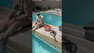 Thumbnail: Float on with Turtlebox