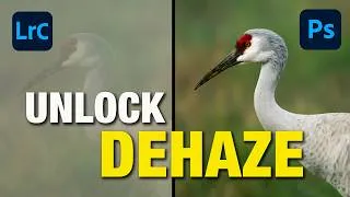 Thumbnail: Unlock the power of Dehaze Slider in Lightroom Classic