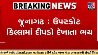 Thumbnail: Junagadh: Leopard in Uparkot Fort! Forest Department Launches Rescue Operation | TV9Gujarati