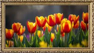 Thumbnail: 8 Hours of Vibrant Tulip Art in 4K | Transform Your TV into a Lively Floral Masterpiece