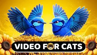 Thumbnail: Summer Fun Cat Games! Birds, Mice, Butterflies, Strings, Squirrels, Lizards - Video for Cats. CAT TV