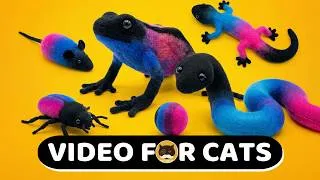Thumbnail: CAT GAMES - CAT TOYS: Mice, Frogs, Lizards, Snakes, Bugs, Rolling Balls. Videos for cats | CAT TV.