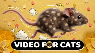 Thumbnail: Cat TV & Cat Games: Catching Brown Mouse - 1 Hour Video for Cats Mental Stimulation.