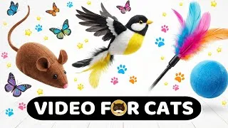 Thumbnail: CAT GAMES - CAT TOYS! Video for Cats: Mice, Birds, Butterflies, Feather Teaser Wand, Strings. CAT TV