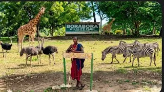 Thumbnail: Diani's Hidden Treasure:BoraBora Wildlife Park🇰🇪