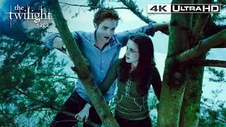 Thumbnail: "Hold On Tight, Spider Monkey" — Edward Shows Bella The Treetops (Full Scene) | Twilight