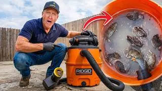 Thumbnail: 99% of People Don't Know Their Shop Vac Is the BEST Rat Trap!