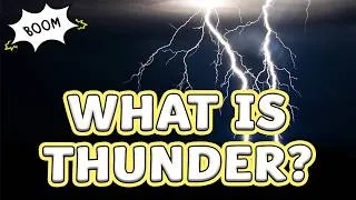 Thumbnail: Why Does Thunder Rumble? | Thunder and Lightning Facts for Kids ⚡️