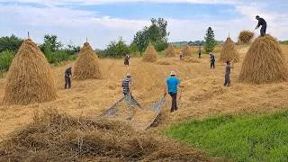 Thumbnail: Interesting Everyday Life of a Large Family in a Mountain Village | Life in the Carpathians