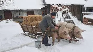 Thumbnail: The amazing winter life of a large family among the Carpathian Mountains