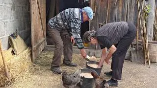 Thumbnail: Rural life at 74: working in the fields, tending to the farm, and daily worries