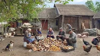 Thumbnail: Interesting rural life of a happy elderly couple. Harvesting and caring for the farm