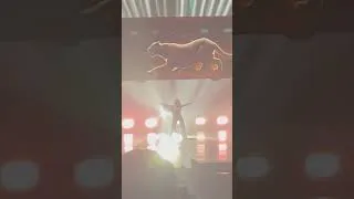 Thumbnail: Shania Twain Las Vegas Feb 2022