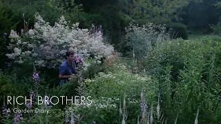 Thumbnail: 06 - Ty Gardd | A Late Summer Morning in the Garden