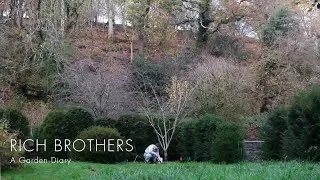 Thumbnail: 03 – Ty Gardd | Naturalising the garden with native and ornamental bulbs