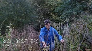 Thumbnail: 02 - Ty Gardd | ​The structure of ​ornamental grasses in​ late Autumn