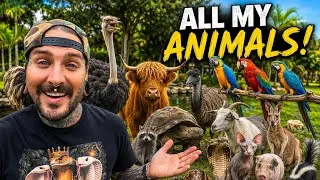 Thumbnail: COUNTING AND CARING FOR ALL MY ANIMALS in ONE VIDEO 🔥