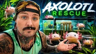 Thumbnail: Emergency Axolotl Rescue… We Had to Save Them!