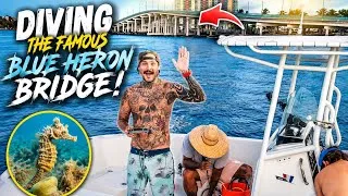 Thumbnail: Diving Florida’s Famous BLUE HERON BRIDGE! 😍
