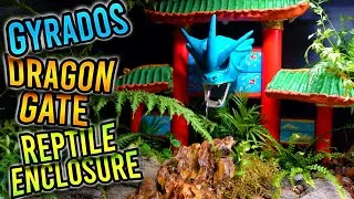 Thumbnail: Gyrados Dragon Gate Reptile Enclosure! | 2024 Snake Discovery Build-off