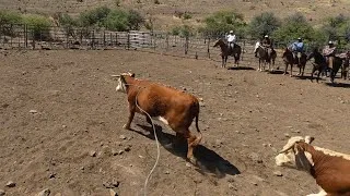 Thumbnail: Out in Arizona