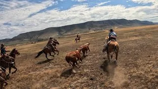 Thumbnail: Roping Frenzy at the End